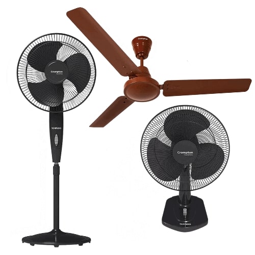 Fan